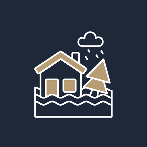 NOAH Logo